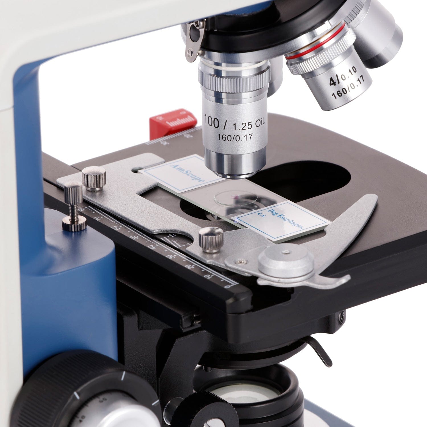 Microscope Compound 40X - Mikroskop dwuokularowy AmScope 40X-2500X dla studentów