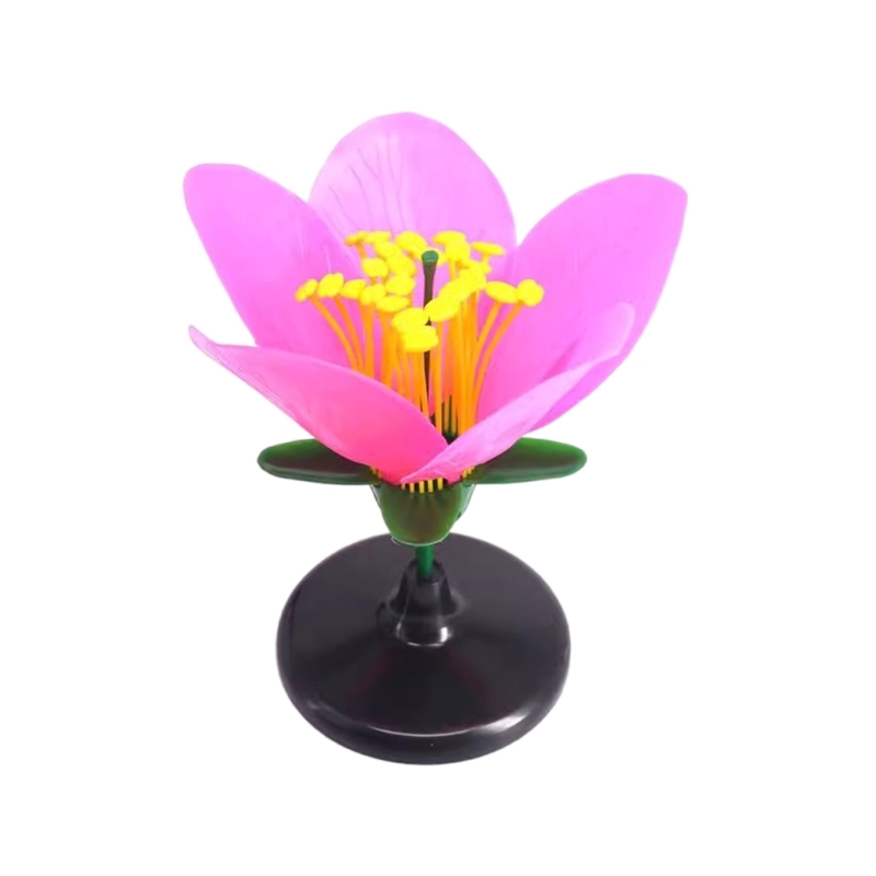 K9FC Realistyczny model naucza – Science Exhibition Models recenzja i cena