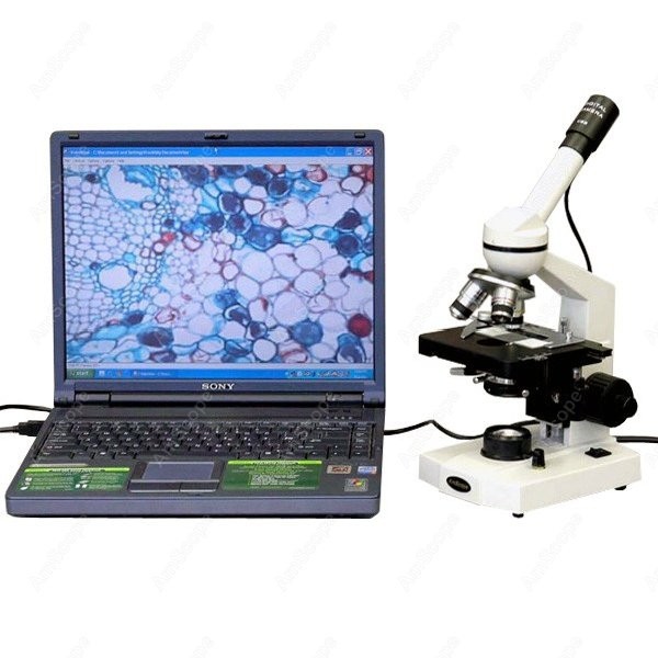 Mikroskop monokularowy AmScope – Microscope Compound 40X recenzja i cena