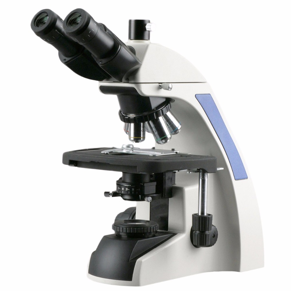 Mikroskop trójokularowy AmScop – Amscope Microscope Compound 40X-1000X recenzja i cena