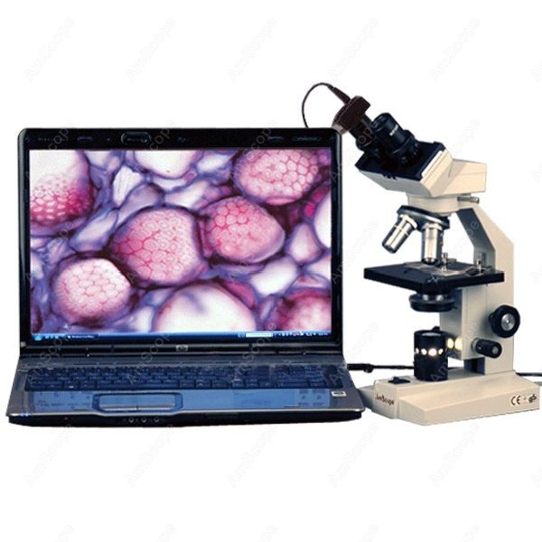 Mikroskop biologiczny dwuokula – Amscope Microscope Compound 40X-1000X recenzja i cena