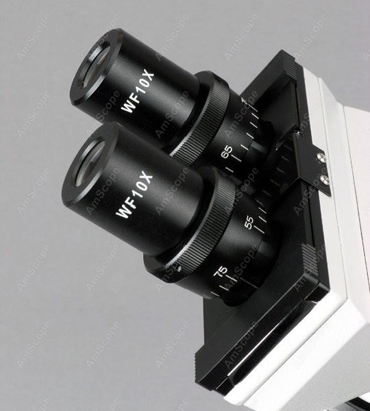Mikroskop biologiczny dwuokula – Amscope Microscope Compound 40X-1000X recenzja i cena
